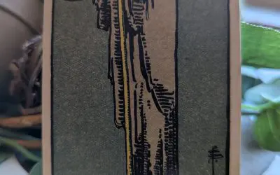 Tarot Wisdom for the Year 2025