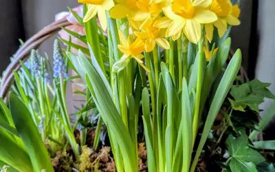 Considering a Spring Routine—Perhaps a “Cleanse?”